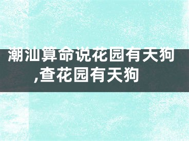 潮汕算命说花园有天狗,查花园有天狗