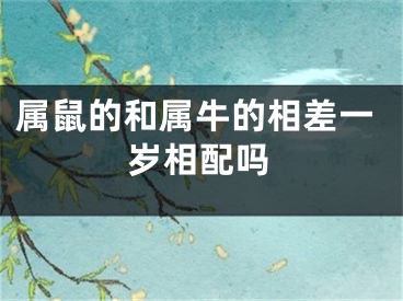 属鼠的和属牛的相差一岁相配吗