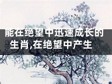 能在绝望中迅速成长的生肖,在绝望中产生