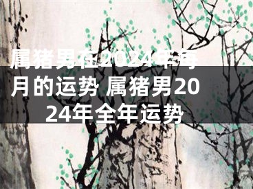 属猪男在2024年每月的运势 属猪男2024年全年运势