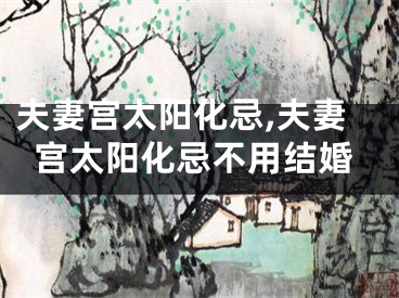 夫妻宫太阳化忌,夫妻宫太阳化忌不用结婚