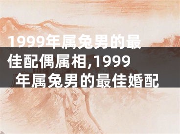 1999年属兔男的最佳配偶属相,1999年属兔男的最佳婚配