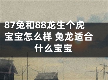 87兔和88龙生个虎宝宝怎么样 兔龙适合什么宝宝