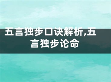 五言独步口诀解析,五言独步论命