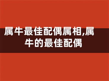 属牛最佳配偶属相,属牛的最佳配偶
