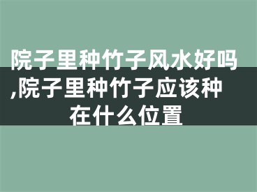 院子里种竹子风水好吗,院子里种竹子应该种在什么位置