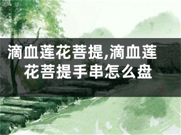 滴血莲花菩提,滴血莲花菩提手串怎么盘