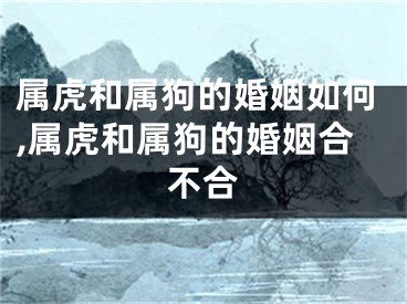 属虎和属狗的婚姻如何,属虎和属狗的婚姻合不合