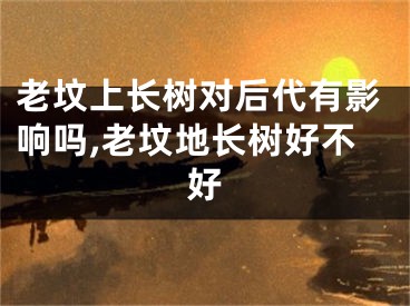 老坟上长树对后代有影响吗,老坟地长树好不好