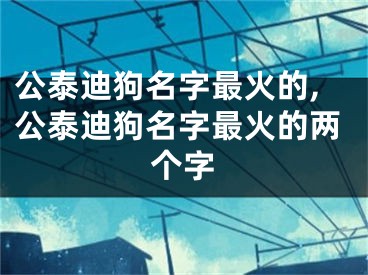 公泰迪狗名字最火的,公泰迪狗名字最火的两个字