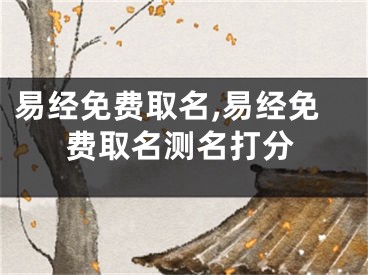 易经免费取名,易经免费取名测名打分