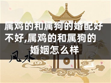 属鸡的和属狗的婚配好不好,属鸡的和属狗的婚姻怎么样