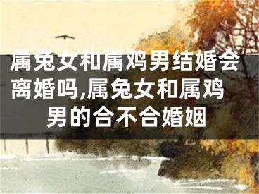 属兔女和属鸡男结婚会离婚吗,属兔女和属鸡男的合不合婚姻