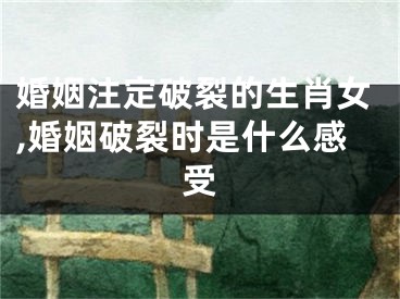婚姻注定破裂的生肖女,婚姻破裂时是什么感受