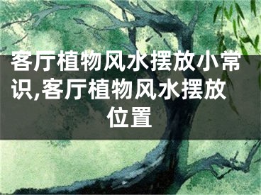 客厅植物风水摆放小常识,客厅植物风水摆放位置