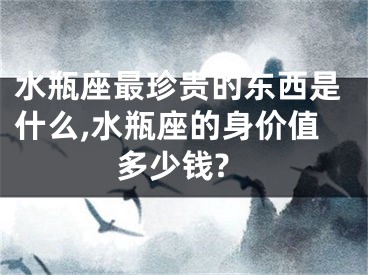 水瓶座最珍贵的东西是什么,水瓶座的身价值多少钱?