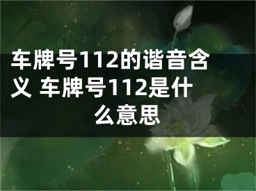 车牌号112的谐音含义 车牌号112是什么意思
