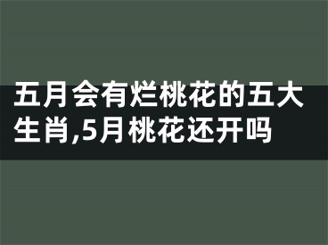 五月会有烂桃花的五大生肖,5月桃花还开吗