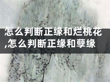 怎么判断正缘和烂桃花,怎么判断正缘和孽缘