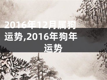 2016年12月属狗运势,2016年狗年运势