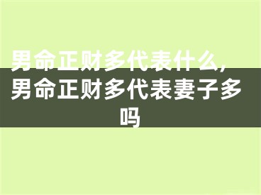 男命正财多代表什么,男命正财多代表妻子多吗