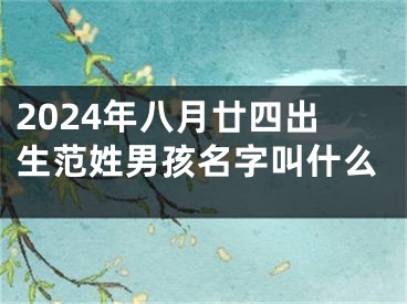 2024年八月廿四出生范姓男孩名字叫什么