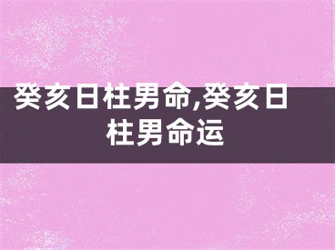 癸亥日柱男命,癸亥日柱男命运