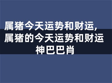 属猪今天运势和财运,属猪的今天运势和财运神巴巴肖