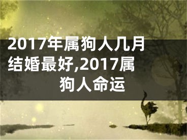 2017年属狗人几月结婚最好,2017属狗人命运