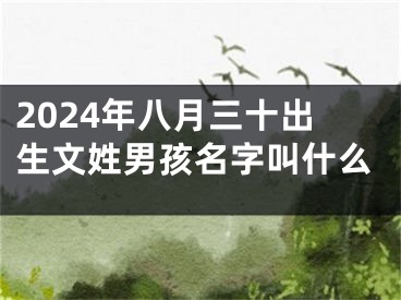 2024年八月三十出生文姓男孩名字叫什么