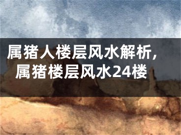 属猪人楼层风水解析,属猪楼层风水24楼
