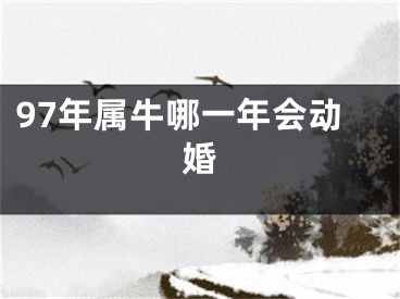 97年属牛哪一年会动婚
