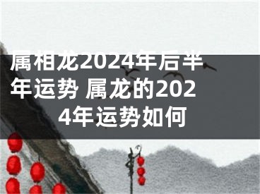 属相龙2024年后半年运势 属龙的2024年运势如何