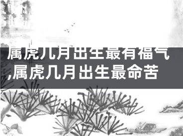 属虎几月出生最有福气,属虎几月出生最命苦