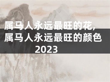 属马人永远最旺的花,属马人永远最旺的颜色2023