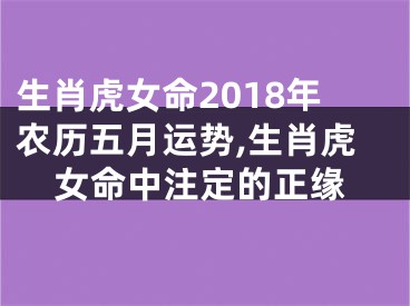 生肖虎女命2018年农历五月运势,生肖虎女命中注定的正缘