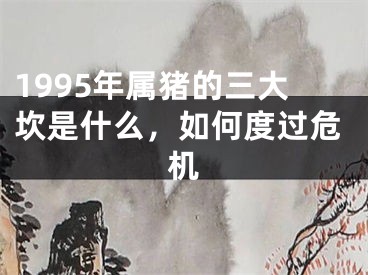 1995年属猪的三大坎是什么，如何度过危机