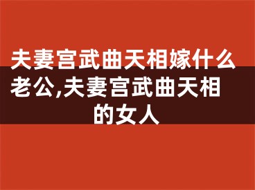 夫妻宫武曲天相嫁什么老公,夫妻宫武曲天相的女人