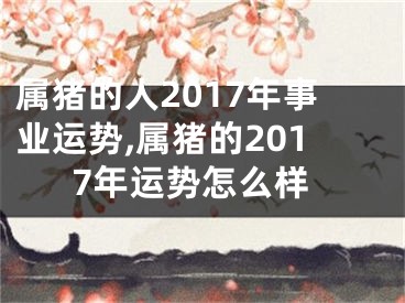 属猪的人2017年事业运势,属猪的2017年运势怎么样