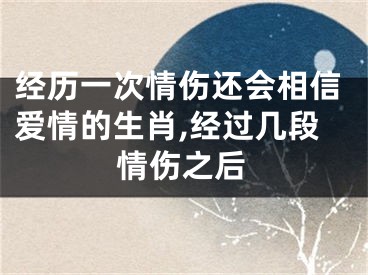 经历一次情伤还会相信爱情的生肖,经过几段情伤之后