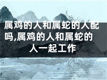 属鸡的人和属蛇的人配吗,属鸡的人和属蛇的人一起工作