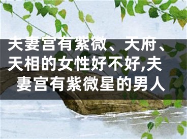 夫妻宫有紫微、天府、天相的女性好不好,夫妻宫有紫微星的男人