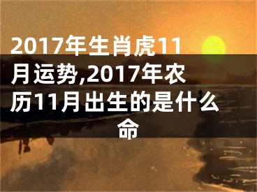 2017年生肖虎11月运势,2017年农历11月出生的是什么命