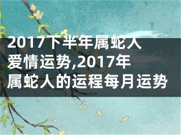 2017下半年属蛇人爱情运势,2017年属蛇人的运程每月运势