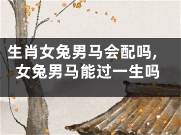 生肖女兔男马会配吗,女兔男马能过一生吗