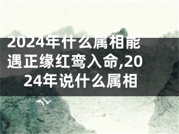 2024年什么属相能遇正缘红鸾入命,2024年说什么属相