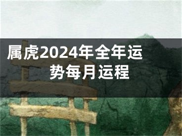 属虎2024年全年运势每月运程
