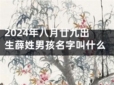 2024年八月廿九出生薛姓男孩名字叫什么