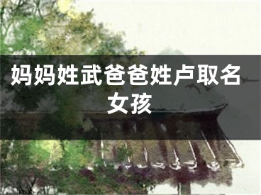 妈妈姓武爸爸姓卢取名女孩
