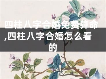 四柱八字合婚免费算命,四柱八字合婚怎么看的